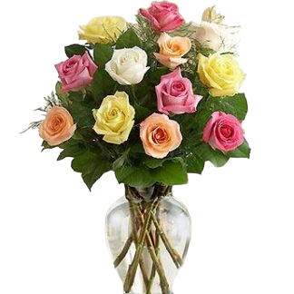 15 multi-colored roses | Flower Delivery Magas